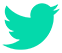 Twitter Marketing Icon